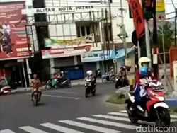 Ternyata, Pria Bugil Ngebut di Blitar itu Seorang Peternak Sukses