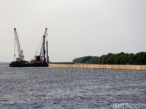 Terancam Tenggelam, Pembangunan Tanggul Laut Terus Dikebut