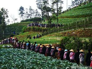 Menjaga Mata Air di Lereng Gunung Slamet Dengan Tradisi