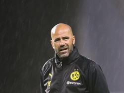 Peter Bosz Ukir Rekor Usai Dortmund Menang atas Hamburg