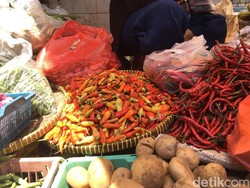 Harga Cabai Rawit Lagi Murah, Hanya Rp 20.000/Kg