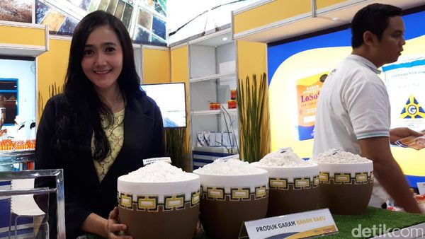 Foto: Deretan SPG Cantik di Pameran BUMN