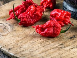 Ini Pepper X, Cabe Terpedas di Dunia dengan Kepedasan 3 Juta Scoville