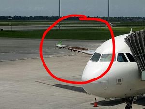 Pesawat Diserang Lebah di Bandara, Citilink: Habitatnya Terganggu