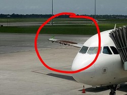 Pesawat Diserang Lebah di Bandara, Citilink: Habitatnya Terganggu