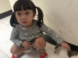 Niatnya Main, Eh Tangan Gempi Malah Digigit Kucing