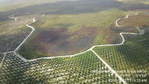 Hotspot di Kalimantan Barat Terpantau Meningkat