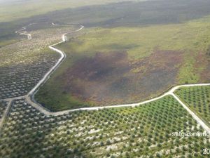 Hotspot di Kalimantan Barat Terpantau Meningkat