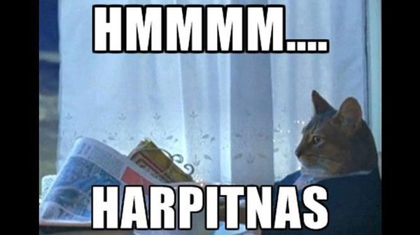 Curhatan Kocak Netizen Lewat Meme Harpitnas