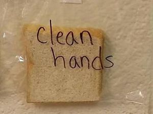Hii! Eksperimen Ini Tunjukkan Pentingnya Cuci Tangan Sebelum Makan