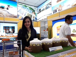 Yuk Intip Deretan SPG Cantik di Pameran BUMN