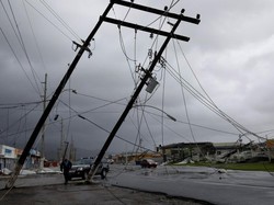 Mewah! Pengungsi Badai Maria di Puerto Riko Naik Kapal Pesiar