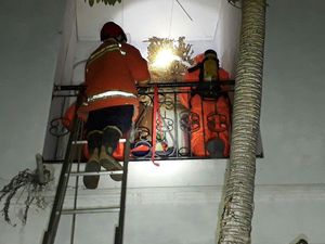 Damkar Evakuasi Sarang Tawon yang Penuhi Jendela Rumah di Tebet