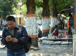 Makin Sulitnya Berjalan Kaki di Trotoar Kota Rembang