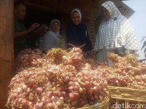 Kementan Inovasi Mesin Panen Bawang Merah