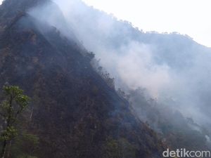 Hutan Terbakar, Pendakian Gunung Muria Ditutup