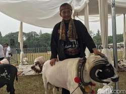 Kisah Sofian, Peternak Domba Sukses dengan Omzet Rp 400 Juta