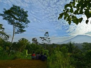 Hingga Pagi Tadi, Jumlah Gempa Tektonik Gunung Agung Menurun