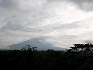 Karena Warga di Sekitar Gunung Agung Cinta Ternak...