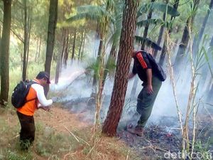 80 Hektare Hutan di Mojokerto Terbakar