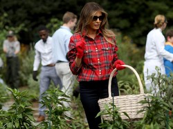 Melania Trump Dikritik Netizen Gara-gara Pakai Kemeja Ini Saat Berkebun