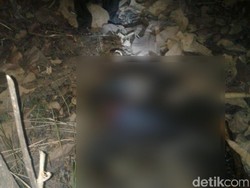 Sebulan Hilang, Seorang Kakek Ditemukan Tewas Terbakar di Hutan