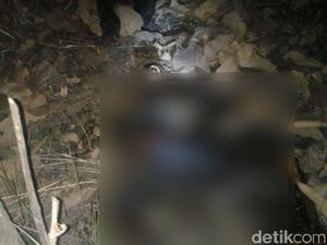 Sebulan Hilang, Seorang Kakek Ditemukan Tewas Terbakar di Hutan Sebulan Hilang, Seorang Kakek Ditemukan Tewas Terbakar di Hutan