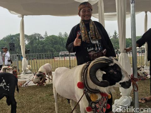 Kisah Sofian, Peternak Domba Sukses dengan Omzet Rp 400 Juta