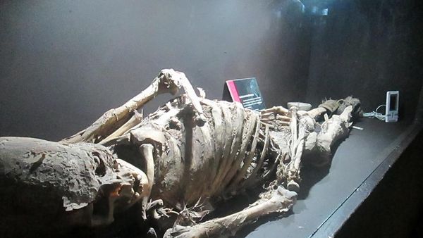 Foto: Penampakan Mumi Meksiko