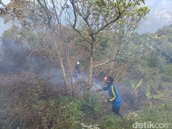 Kebakaran Hutan di Lereng Gunung Muria Padam, Warga Masih Berjaga