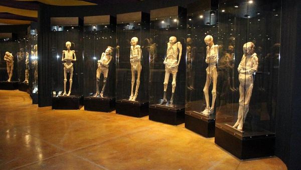 Foto: 7 Tempat Paling Menakutkan di Dunia
