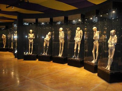 Foto: 7 Tempat Paling Menakutkan di Dunia