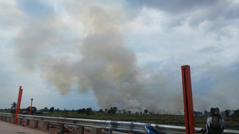Polisi Tangkap Satu Terduga Pelaku Pembakaran Hutan di Ogan Ilir