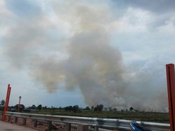 Polisi Tangkap Satu Terduga Pelaku Pembakaran Hutan di Ogan Ilir