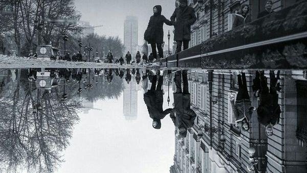 Ada Dunia Paralel di Balik Ilusi Genangan Air