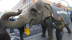 Gajah Turun di Jalan Saat Pemilu Kanselir Jerman, Ada Apa?