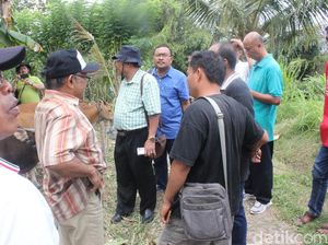 Kementan Minta Dibuat Penitipan Ternak untuk Pengungsi Gunung Agung