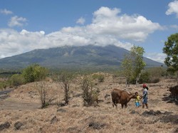 Aktivitas Gunung Agung Meningkat, Jumlah Pengungsi Makin Bertambah