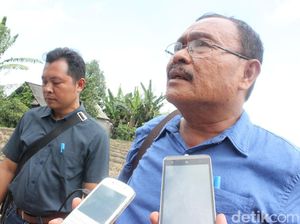 40 Ribu Sapi Warga Gunung Agung Terancam, Pemkab Siapkan Penitipan