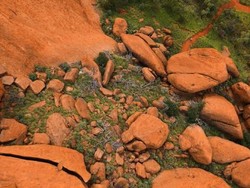 Mungkin Ini Suvenir Paling Terkutuk di Dunia