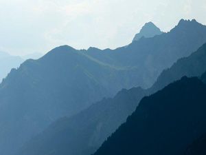 Sopir Pingsan, Penumpang Mengerem Bus Hampir Jatuh ke Jurang