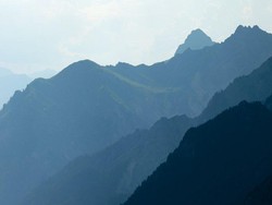 Sopir Pingsan, Penumpang Mengerem Bus Hampir Jatuh ke Jurang