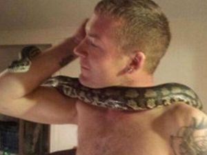 Kematian Misterius Pawang Ular di Dekat Piton Peliharaannya