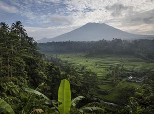 Gubernur Bali Ingatkan Wisatawan Petualang Tak Dekati Gunung Agung