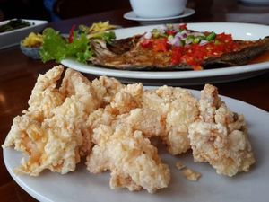 Olahan Cumi Oseng, Goreng Tepung dan Saus Padang Nikmat Dipadukan Nasi Hangat Olahan Cumi Oseng, Goreng Tepung dan Saus Padang Nikmat Dipadukan Nasi Hangat
