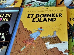 Apakah Detektif Tintin Seorang Perempuan?