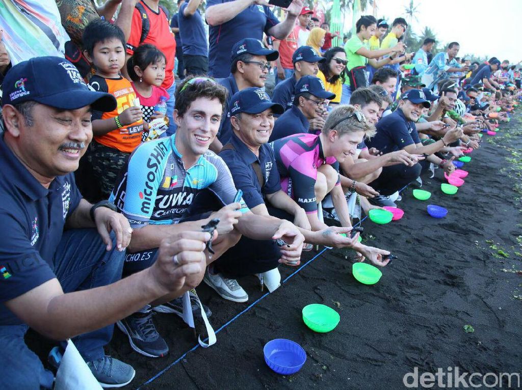 Peserta ITdBI 2017 Diajak City Tour Hingga Lepas Tukik Peserta ITdBI 2017 Diajak City Tour Hingga Lepas Tukik