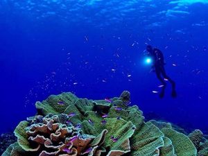 Surga Tenggelam di Sulteng akan Dipetakan Potensi Wisatanya