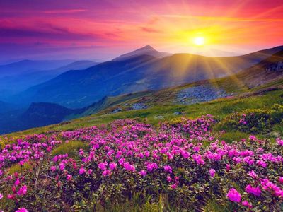 Foto: Surga di India yang Kamu Belum Tahu