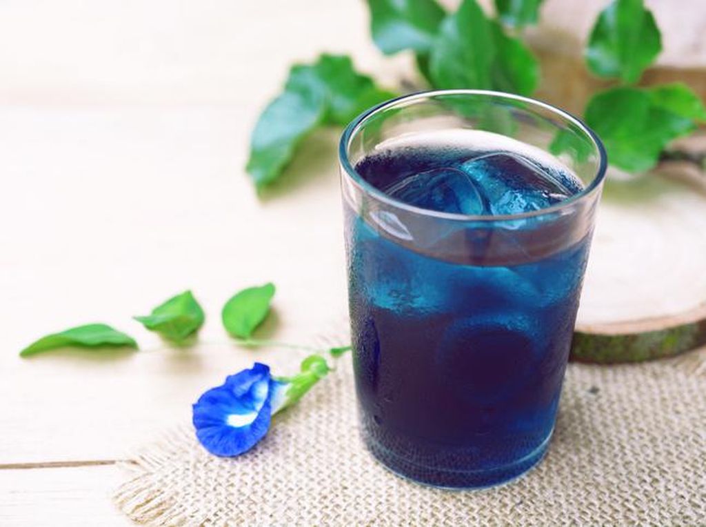 Uniknya Minuman Segar Berwarna Biru Alami dari Bunga Telang